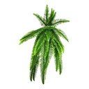 Ver imagem 5 de Kit 2 Planta Artificial Samambaia Ornamental Exótica 1,10m