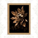 Ver imagem 1 de Quadro Moldura Dourada Flor Bronze e Preto 24x18cm:com Vidro