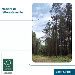 Mesa de Jantar Madeira Maciça Piazza  - 11