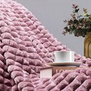 Ver imagem 3 de Cobertor Queen Flannel Fofy Rosé