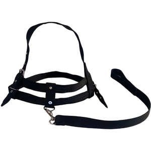 Coleira Peitoral Ajustável com Guia para Pet:preto/g