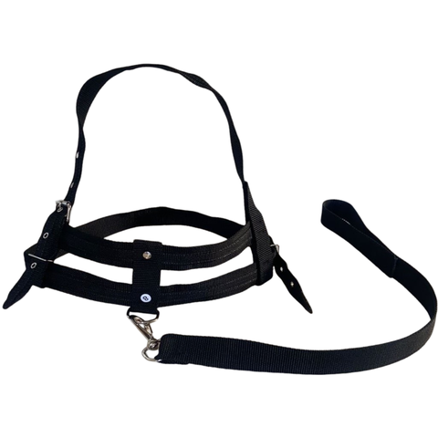Coleira Peitoral Ajustável com Guia para Pet:preto/g