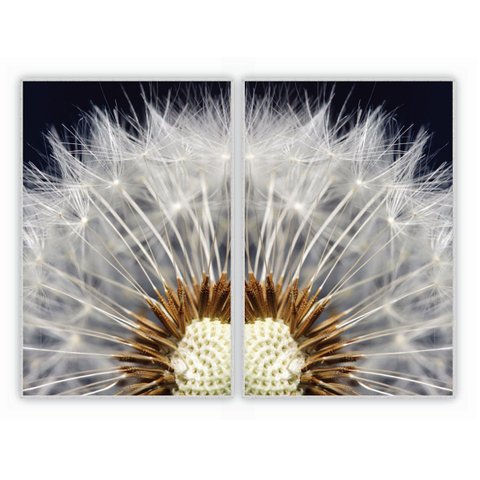 kit com 2 Quadros Decorativos Florais com Moldura e Vidro para Sala Quarto Escritório e Clínica 62x9