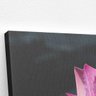 Quadro Flor de Lótus Rosa Orvalho Fotografia Canvas 100x70cm - 3