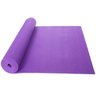 Tapete de Yoga Pilates Ginastica Alongamento Casa Academia Fisioterapia Tatame Dobravel Fitness Exer - 10