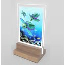 Ver imagem 2 de Abajur e Luminária Decoração Tartaruga