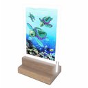 Ver imagem 1 de Abajur e Luminária Decoração Tartaruga