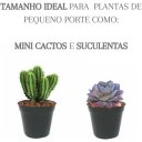 Ver imagem 6 de 120 Mini Vaso Plástico N7 Ceramica Suculentas Cactos Atacado