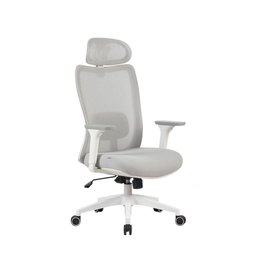 Cadeira Ergonômica Elements Astra Pro Cinza e Branca - 1