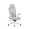 Cadeira Ergonômica Elements Astra Pro Cinza e Branca - 1