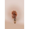 Arvore Artificial Canadense Tronco Natural - 2