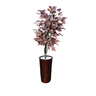 Arvore Artificial Canadense Tronco Natural - 4