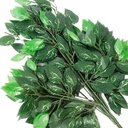 Ver imagem 2 de Kit 24 Ramos Decoração Arranjo Fícus Artificial Verde 14 Galhos Cada 60cm