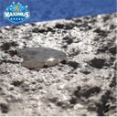 Ver mais imagens de Maximus Aditivo Impermeabilizante 12kg