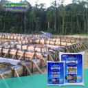 Ver imagem 2 de Maximus Aditivo Impermeabilizante 12kg