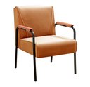 Ver imagem 1 de Poltrona Jade Cor:Veludo Terracota 400