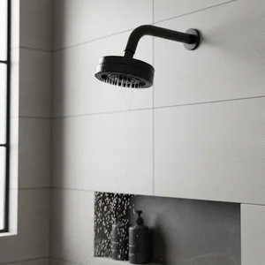 Chuveiro Ducha Autolimpante Articulável Redondo Preto Aquecimento Solar e Gás 70º C