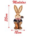 Ver imagem 3 de Coelho de Páscoa Coelhinho Carregando Cenoura Decoração 35cm