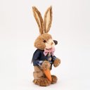 Ver imagem 2 de Coelho de Páscoa Coelhinho Carregando Cenoura Decoração 35cm