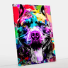 Quadro Decorativo Pitbull Colorido Canvas 60x90 50x70 Sala:50x70 - 1