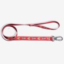 Ver imagem 1 de Guia Zc Pets a Dama e o Vagabundo Disney P