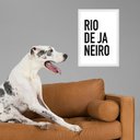 Ver imagem 1 de Quadro Decorativo Tipografia Rio de Janeiro 33x24cm:moldura Preta
