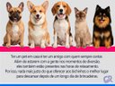 Ver imagem 6 de Colchão Pet Cachorro / Gato Pequeno Ortoboxpet Cinza (30x45x18) - Ortobom