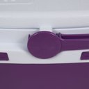 Ver mais imagens de Caixa Térmica 6 Litros Açaí Bel