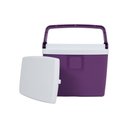 Ver imagem 3 de Caixa Térmica 6 Litros Açaí Bel