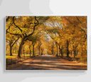 Ver imagem 7 de Quadro Central Park Outono Decor&quadros Cid051 90x60 Cm Tecido Canvas