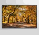 Ver mais imagens de Quadro Central Park Outono Decor&quadros Cid051 90x60 Cm Tecido Canvas