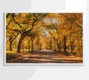 Ver imagem 2 de Quadro Central Park Outono Decor&quadros Cid051 90x60 Cm Tecido Canvas