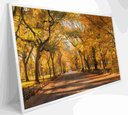 Ver imagem 3 de Quadro Central Park Outono Decor&quadros Cid051 90x60 Cm Tecido Canvas
