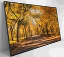 Ver imagem 5 de Quadro Central Park Outono Decor&quadros Cid051 90x60 Cm Tecido Canvas
