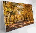 Ver imagem 6 de Quadro Central Park Outono Decor&quadros Cid051 90x60 Cm Tecido Canvas