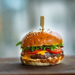 Modelador de Hamburguer Inox Jl Colombo - 5