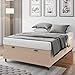 Ver imagem 6 de Base Cama Box Baú Casal 138x188x41cm Bege Suede Veludo Prince