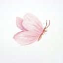 Ver imagem 4 de Papel de Parede Borboleta Rosa + Cola Inclusa