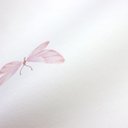 Ver imagem 2 de Papel de Parede Borboleta Rosa + Cola Inclusa