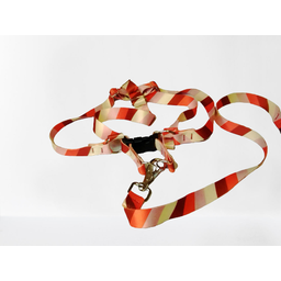 Conjunto Peitoral Ajustável RBPet com Guia - Cães de Médio Porte - 4