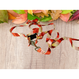 Conjunto Peitoral Ajustável RBPet com Guia - Cães de Médio Porte - 8