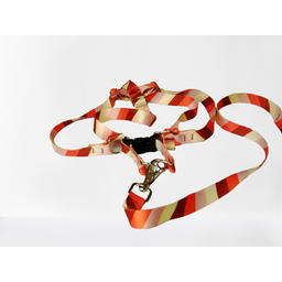 Conjunto Peitoral Ajustável RBPet com Guia - Cães de Médio Porte - 5