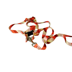 Conjunto Peitoral Ajustável RBPet com Guia - Cães de Médio Porte - 7