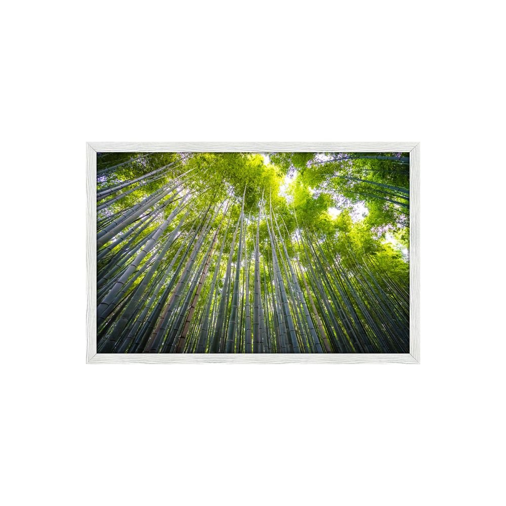 Quadro Decorativo Árvore Bambu: Mod. 0359 Collor-ink Mod.0359 50 X 75cm ...
