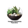 Kit 4 Vasos Vidro Redondo Tipo Aquário 1,5 Litros Decoração e Terrários - Mistral  - 6