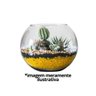 Kit 4 Vasos Vidro Redondo Tipo Aquário 1,5 Litros Decoração e Terrários - Mistral  - 4