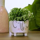 Ver mais imagens de Cachepô Decorativo Vaso 8x9x9cm Cerâmica Branco Elefante