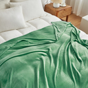 Ver imagem 2 de Kit 2 cobertor casal manta microfibra Fleece  verde 1,80 x 2,0