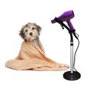 Ver imagem 6 de Suporte Secador Pet Shop Cachorro Gato Animal Flexivel Salao Giratorio Bancada Chao