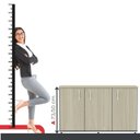 Ver imagem 6 de Armário para Escritório Pivotante Credenza Cinza/Grafito/Castanheira